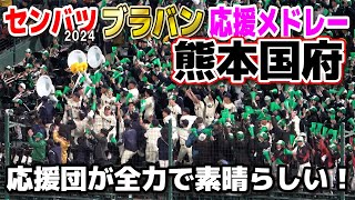 【センバツ　高校野球応援】熊本国府 ブラバン応援メドレー　９回１０回全力で選手を後押し！応援団が楽しくて素晴らしい！【近江 vs 熊本国府】2024.3.18阪神甲子園球場