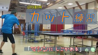 卓球【ラージボール】練習動画「カット切り替え」対マシン