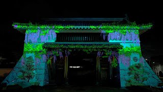 2022.04.29 岡崎公園五万石藤まつり プロジェクションマッピング