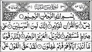 Surah Yaseen | Ar-Rhaman | Surah Yasin 2 Times Daily Quran Tilawat Episode 443 Beautiful Recitation