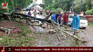 കനത്ത മഴയിലും കാറ്റിലും പുത്തനത്താണി തിരുന്നാവായ റോഡിൽ മരം കടപുഴകി വീണു.