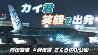 【4K】成田空港 さくらの山公園 全日空 超巨大旅客機 フライング・ホヌ カイ君 夜の空港を笑顔でハワイへ出発