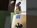 therapy obsiusfb fingerboard techdeck skateboard blackriverramps fb fun