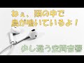 3D-Audio＋ イヤホン/ヘッドホン専用【新感覚オーディオ/音響技術開発】