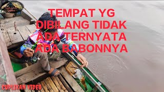 LOKASI YANG TAK DIKIRA TERNYATA ADA BABONNYA UDANG GALAH