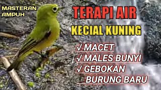 TERAPI AIR UNTUK KECIAL KUNING MACET#MASTERAN KECIAL MACET