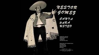 Nestor Gómez - Homenaje A Chicago (ft. Mariachi Nuevo León)