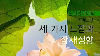 세 가지 느낌과 잠재성향 - 자재스님