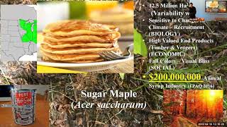 Limited migration: Will sugar maple tap out to climate change? Kevin Solarik