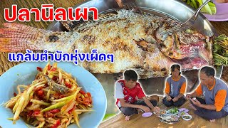 ปลานิลเผา โตใหญ่ๆเนื้อหวาน แกล้มตำบักหุ่งเผ็ดๆ