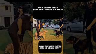 HARIMAU VS ANJING,SIAPA YANG MENANG #shorts