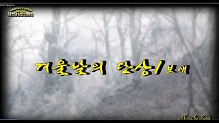 [2015.영상작가 송년의 밤 시연作], [세인트]겨울날의단상-보애