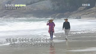 한국기행 - Korea travel_섬이랑 썸타나요 1부- 우리만의 낙원, 동소우이도_#001