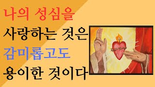 예수님께서 요세파수녀에게 주신 성심의 메시지를 보시고 예수성심의 엄청난 은총이 무엇인지 느껴보세요.