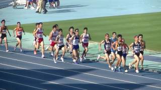 2016年7月30日加古川ナイター男子1500m 山口