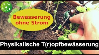 #Blumat #Tropfbewässerung - physikalisch, ohne Strom