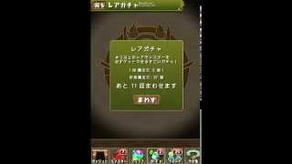 【パズドラ】サービス開始1000日記念イベントゴッドフェス（後編）10回引いた結果・・・