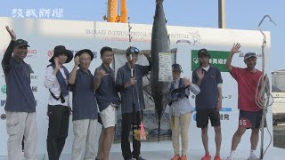 狙え大物　カジキ釣り大会　初日の釣果３匹　大洗・ひたちなか