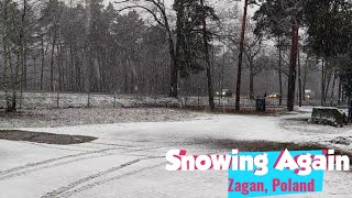 It's Snowing Again in Poland - 🇵🇱 #zagan #poland #snowing snowin