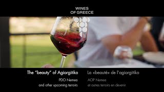 07 The “beauty” of Agiorgitiko – PDO Nemea (ΠΟΠ Νεμέα) and other upcoming terroirs