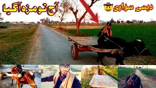 Punjabi Culture ❤️ || آج دیسی سواری پر لمبا سفر کیا🙂 || Punjabi sawari