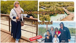 Jubail Mangrove Park (Abudhab)i  | Jubail Island | Walking through the mangroves 🏝️