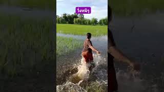 คุณแม่วิ่งหนีอะไรไม่รู้ตกใจมาก #funny #funnyvideo #ฮาๆ #lamoonhero #เล่นน้ำ