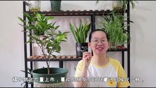 橘子树结果了，挂果期做好几点养护，果实又大又甜