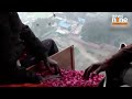 mahakumbh 2025 flower petals showered on saints at amrit snan during basant panchami news9