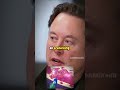 elon musk s vision for integrating human brain functionality into robots