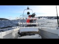 Shark fishing at Skarnsundet