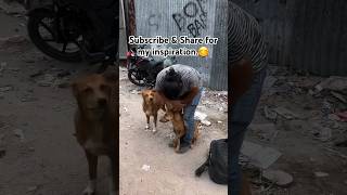 Heartwarming Street Dog Rescue: Love, Care \u0026 Life-Saving Treatment ❤️🐾 #StreetDogCare