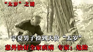 宁夏男子公园捡到天价“太岁”，意外治好全家疾病，竟是误打误撞