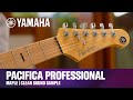 Yamaha I Pacifica Professional I Maple I Clean Sound Samples