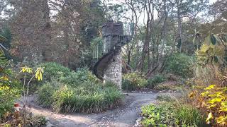 Clyne gardens Swansea