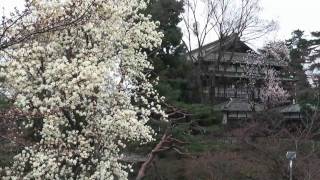 JR東日本駅からハイキング　前橋駅　2010/03/28