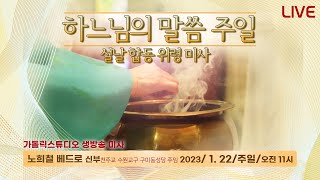 하느님의 말씀 주일 설날 합동 위령 미사 2023.1.22(주일) 오전11시 노희철 베드로 신부(수원교구 분당 구미동성당 주임) I 가톨릭스튜디오