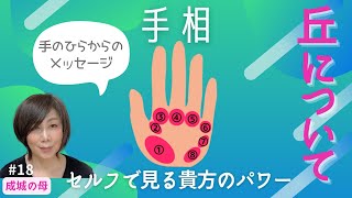 【面白すぎる手相】丘について  セルフで見る貴方のパワー   #手相 #占い #運気 #金運