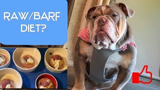 Tips and Tricks on Prep and Feeding Raw/BARF Diet