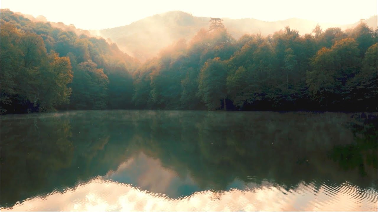 Relax With Water And Bird Sounds On The Lake Side ㅣdeep Relief White
