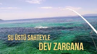 DEV ZARGANA AVI !! Suüstü sahteyle / Houndfish on topwater Live Strike !