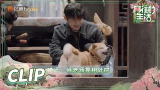 蘑菇屋大家长坐镇！何炅暖心黄磊严厉又调皮！《向往动物园》EP6丨Back to Field S5丨MangoTV