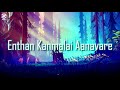 Enthan Kanmalai Anavare | Tamil Christian Song | (Lyrics)