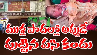 ముళ్లపొదల్లో అప్పుడే పుట్టిన పసికందు కనికరం లేని తల్లిదండ్రులు # మహబూబ్ నగర్ జిల్లా#true9news