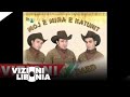 Vizioni Band moj e mira e katunit ( Official Audio )