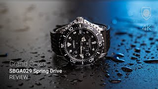 This is a strange Grand Seiko diver! the SBGA029 Spring Drive under the loupe.