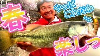 【春のバス釣り】おかっぱりで春のバスフィッシングを楽しむ！in五三川