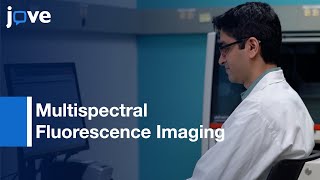 Multispectral Fluorescence Imaging of Frozen Tissue Sections | Protocol Preview