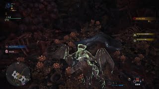 【MHW】ソロ フリークエスト 運搬クエ『虎穴に入らずんば肉を得ず』 モンスターハンター：ワールド #19