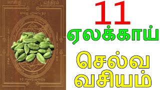 11 ஏலக்காய் செல்வ வசியம் | sattaimuni Nathar